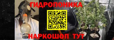 амф Краснодар