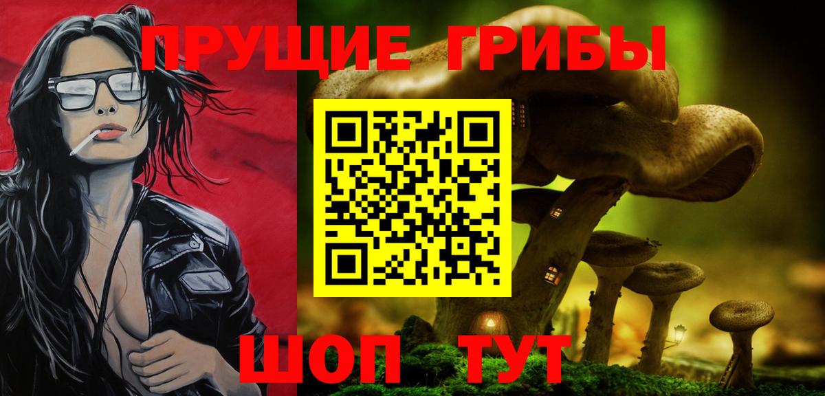 Псилоцибиновые грибы мицелий Псков